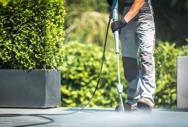 Best Sidewalk and Walkway Cleaning  in Fountain, CO